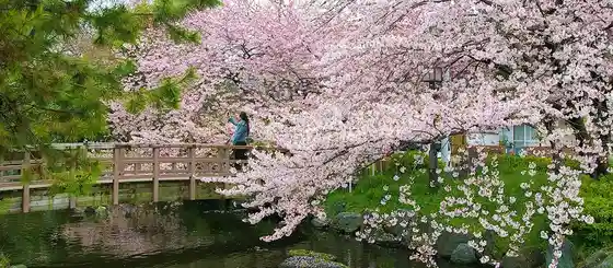 Higashi Ayase Park