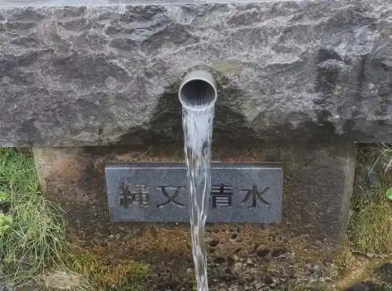 Jomon Shimizu