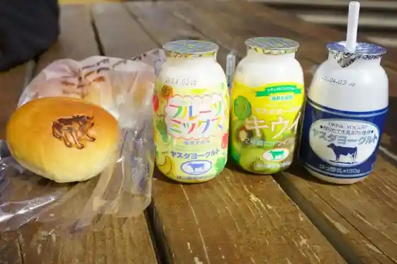 Yasudayoguruto