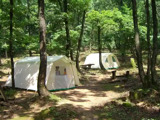 Donguri Forest Campground