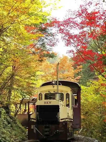 Akasawa Natural Recreation Forest