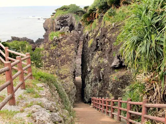 Higashi Yamatuga