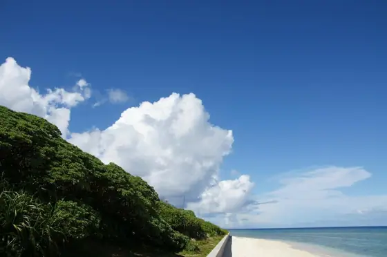 Terukinabaru Monpanoki Grove