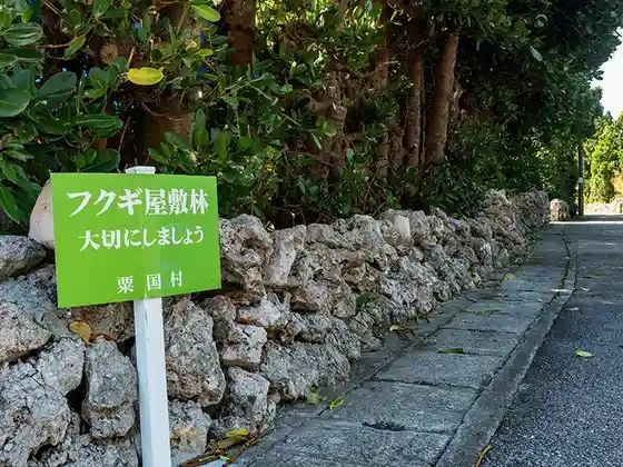 Stone Walls and Fukugi Tree Rows