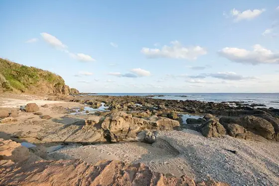 Coastal Walk
