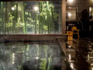 Natural Onsen Ansho no Yu Super Hotel Anjo Station Front