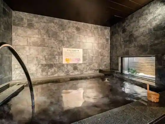 Super Hotel Premier Nagoya Sakuradori Natural Hot Spring
