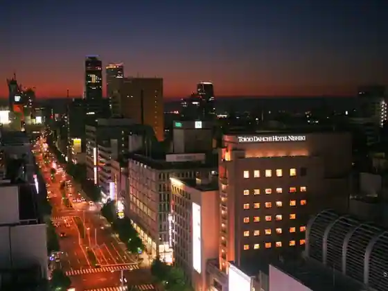Tokyo Daiichi Hotel Nishiki