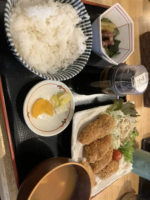Nagashino Shokudo