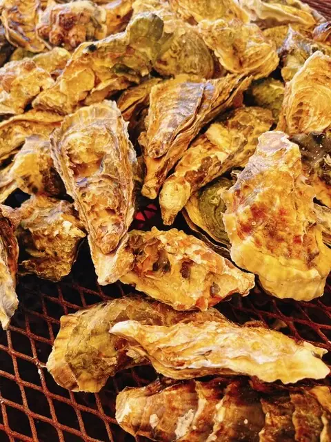 Tobishima Oysters