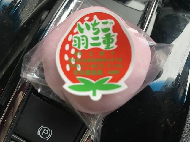 Jaku Matsuya Seika