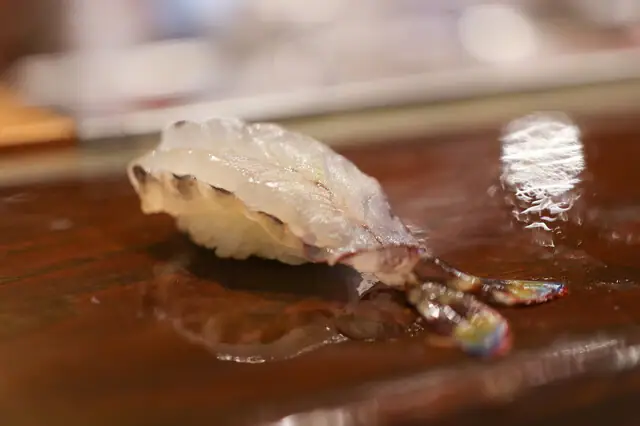 Sushi Gi