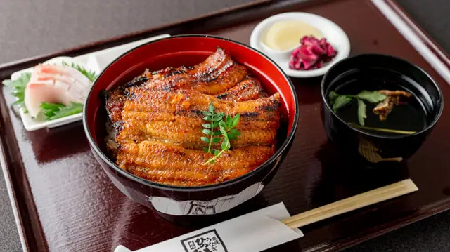 Sumiyaki Unagi Hitsumabushi Fujishiro
