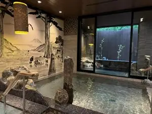 Natural Onsen Tsutsuji no Yu Dormy Inn EXPRESS Toyohashi