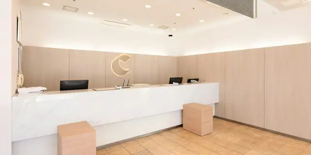 Comfort Hotel Toyokawa