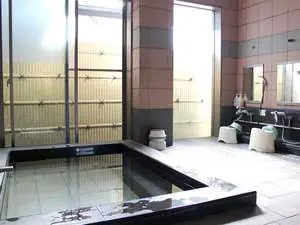 Toyokawa Business Hotel