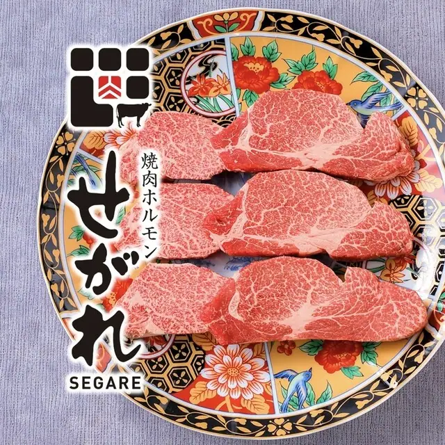 Yakiniku Horumon Segare