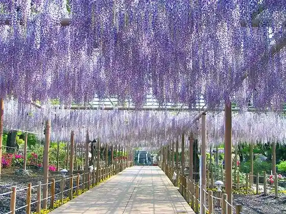 Mandaraji Park