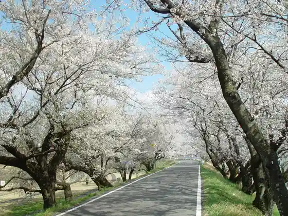 Kiso River Embankment