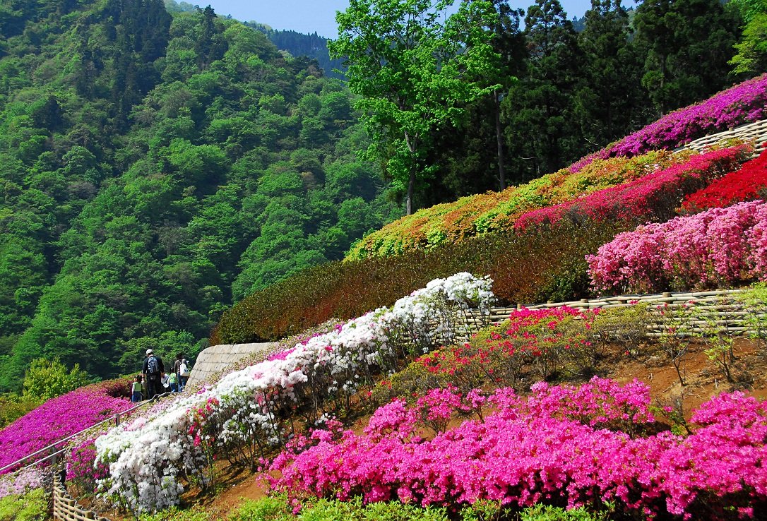 Kanagawa Prefectural Aikawa Park
