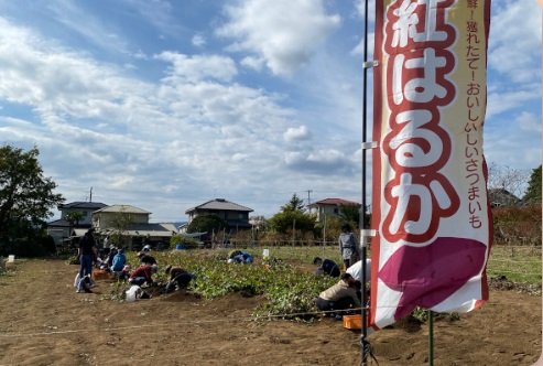 Hidamari Strawberry Farm