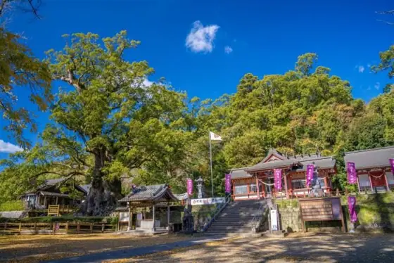 Kamo Hachiman Shrine