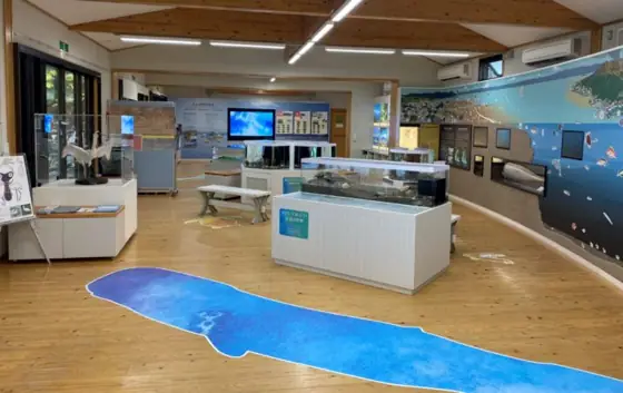 Shigetomi Coast Nature Interaction Hall Nagisa Museum