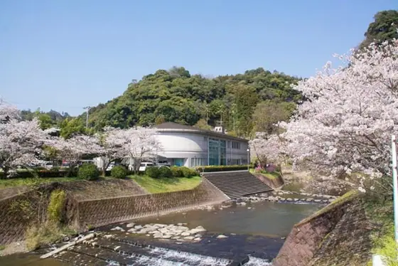 Ryumon Falls Onsen