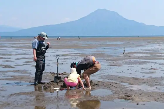 Kinko Bay Tidal Flat Creature Observation Tour