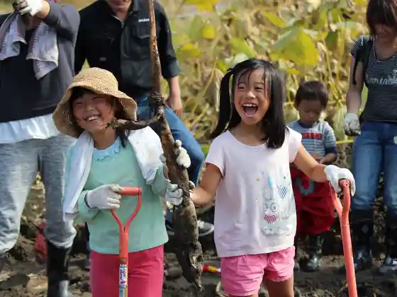 Shimizu Shokuhin Lotus Root Digging Experience