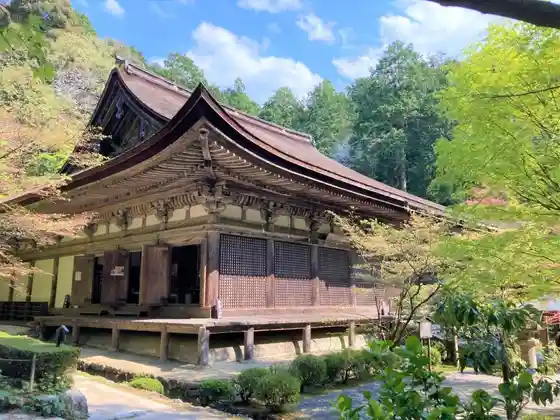 Kongo Wa Tera