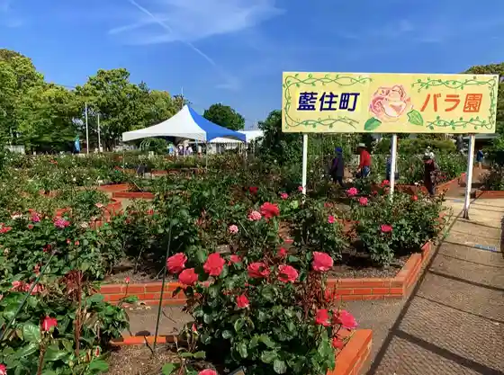 Aizumi Town Rose Garden