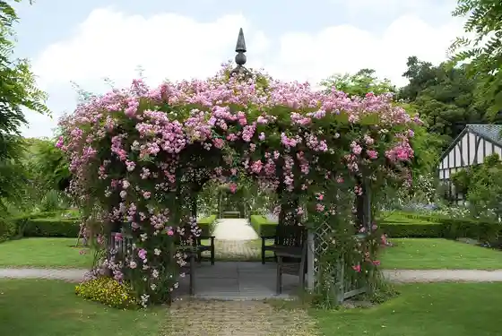 Kumayama Eikoku Garden