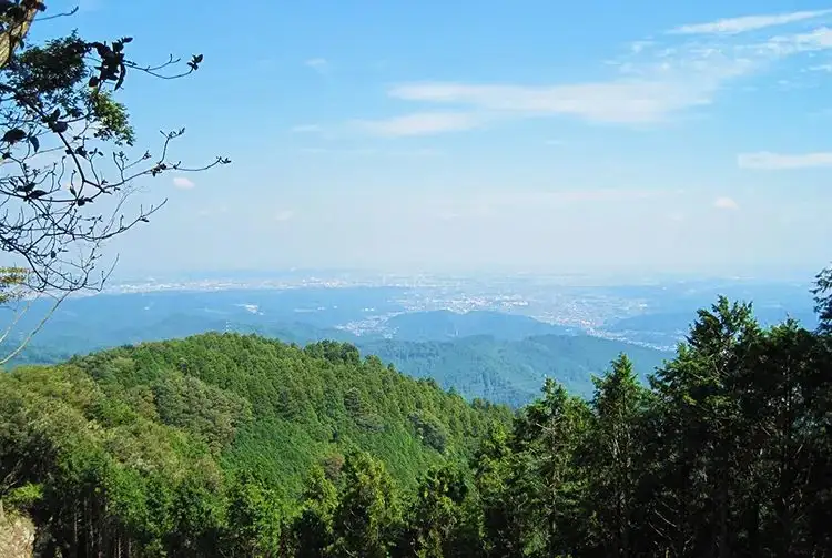 Mezu Kari Yama