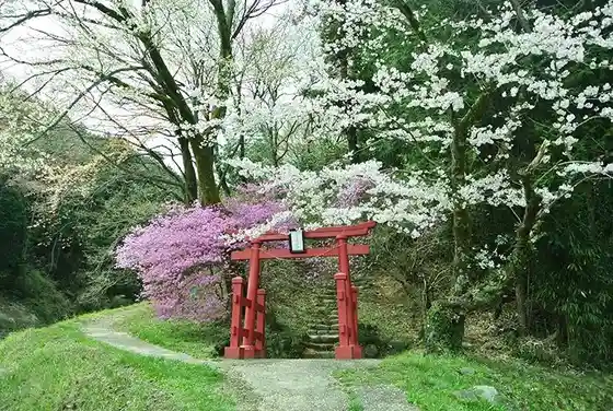 Ajiro Benten Yama