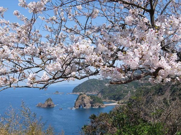 Myokenura (Elephant Rock)