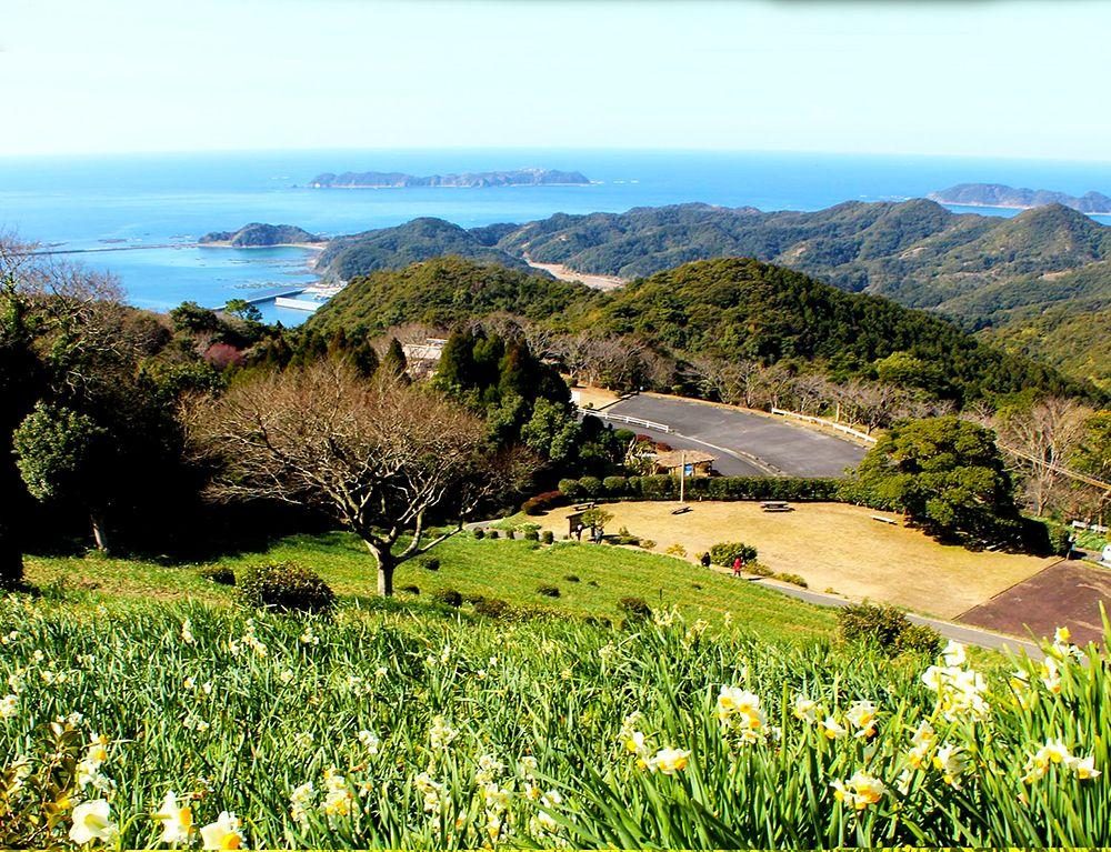 Tomiyama Narcissus Park