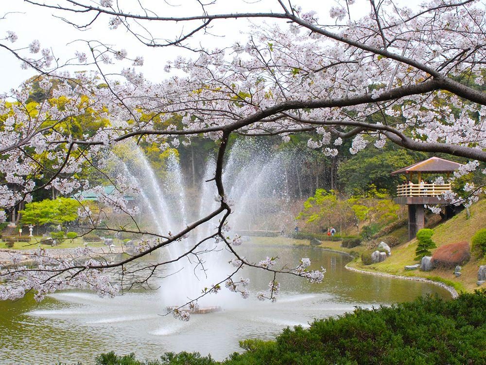 Ushibuka Park