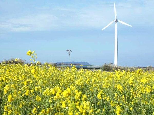 Tsujishima Wind Power Plant