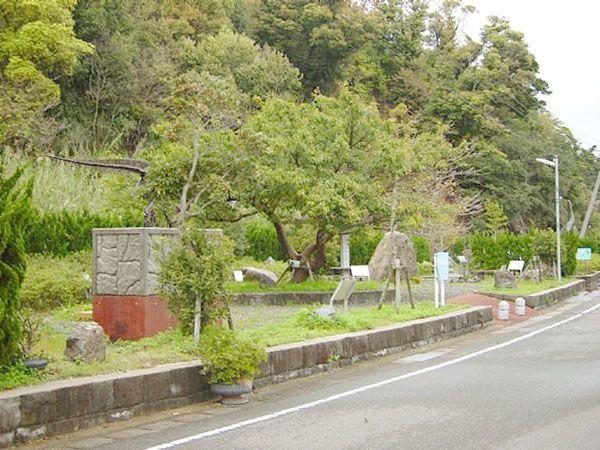Nigaki Fossil Park