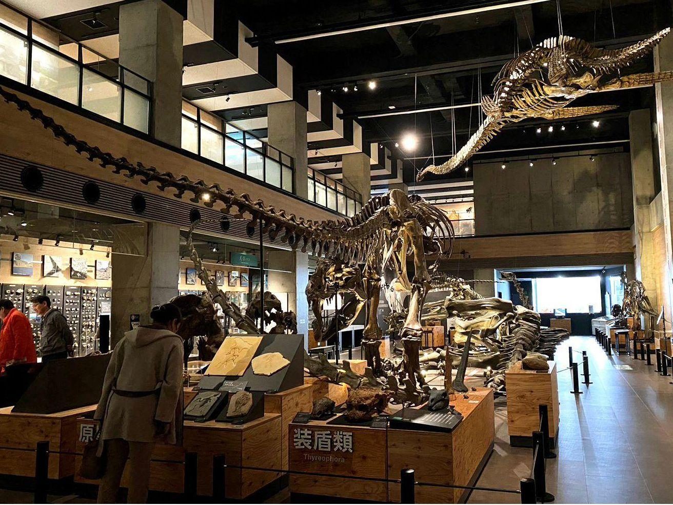 Amakusa Municipal Goshoura Dinosaur Island Museum