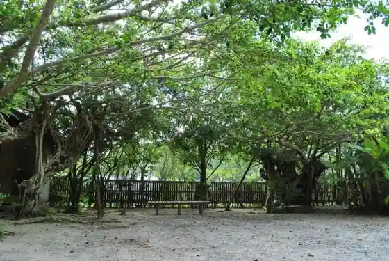 Tanaka Isson's Final Home