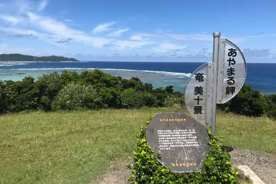 Ayamaru Cape Tourist Park