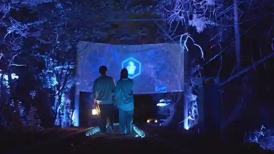 Melodic Light Walk