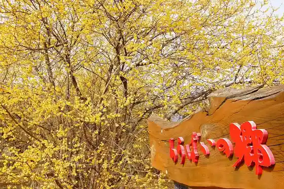 Wintersweet Village