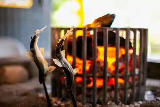 Ayu Salt-Grilling Experience
