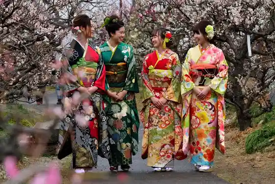 Anpachi Hundred Plum Garden