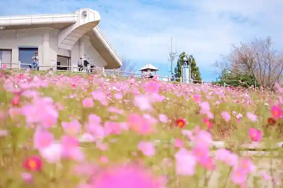 Washigamine Kosumosu Park