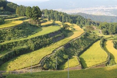 Gaku Rice Terraces