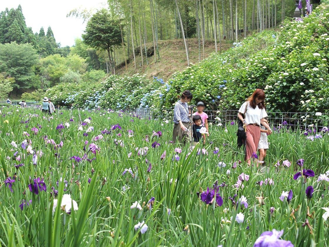 Tenshi no Mizu Park